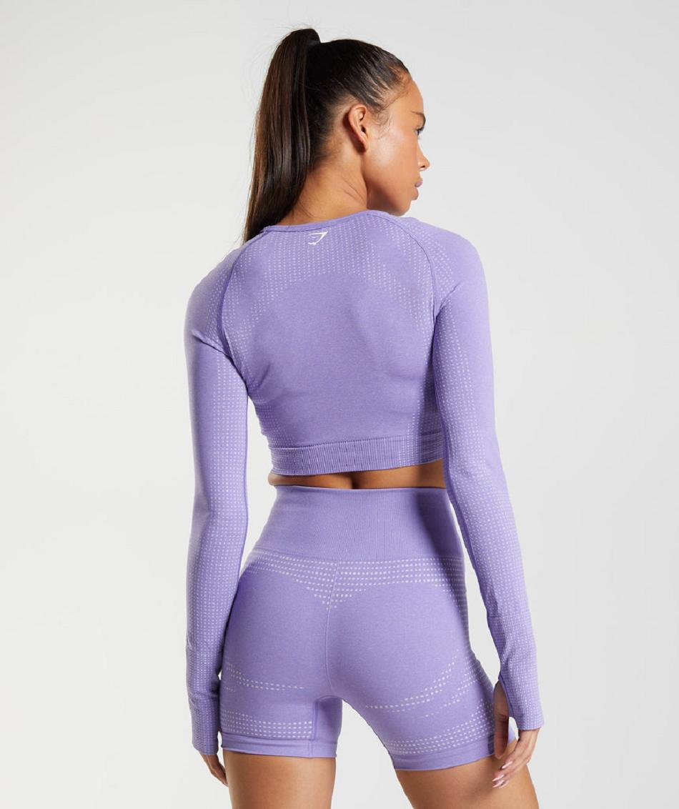 Corp Tops Gymshark Vital Seamless 2.0 Mujer Moradas | CO 2415SGL